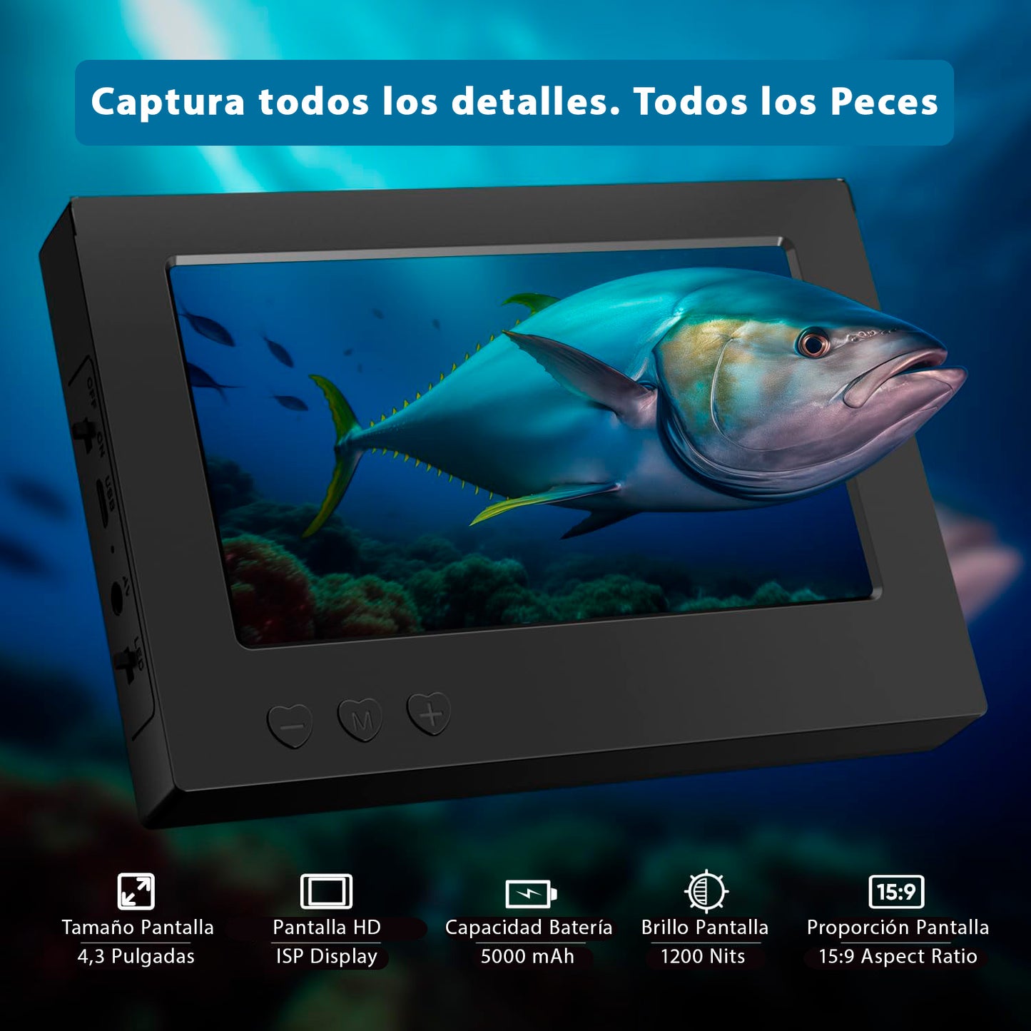 Cámara Submarina – Observa en tiempo Real