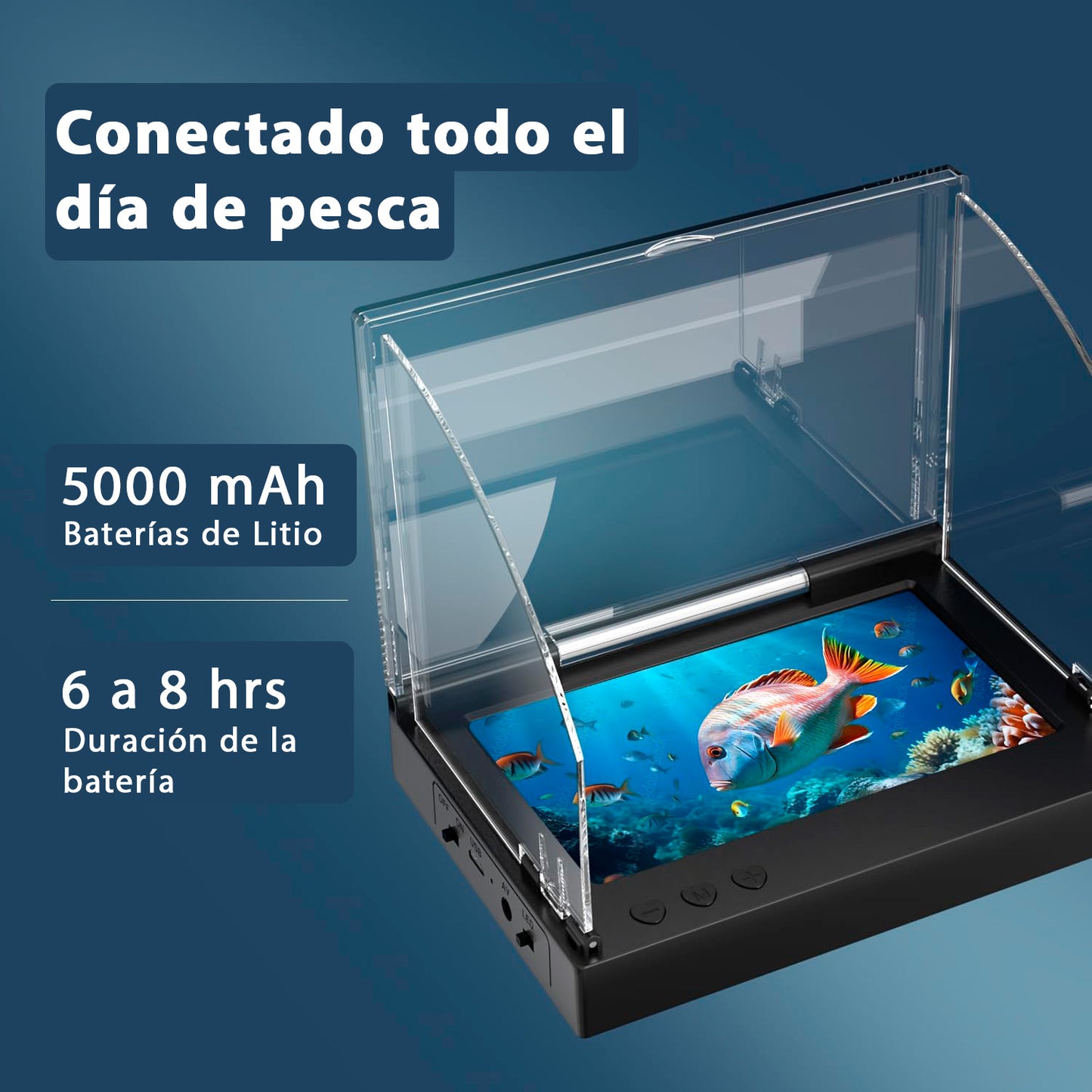 Cámara Submarina – Observa en tiempo Real