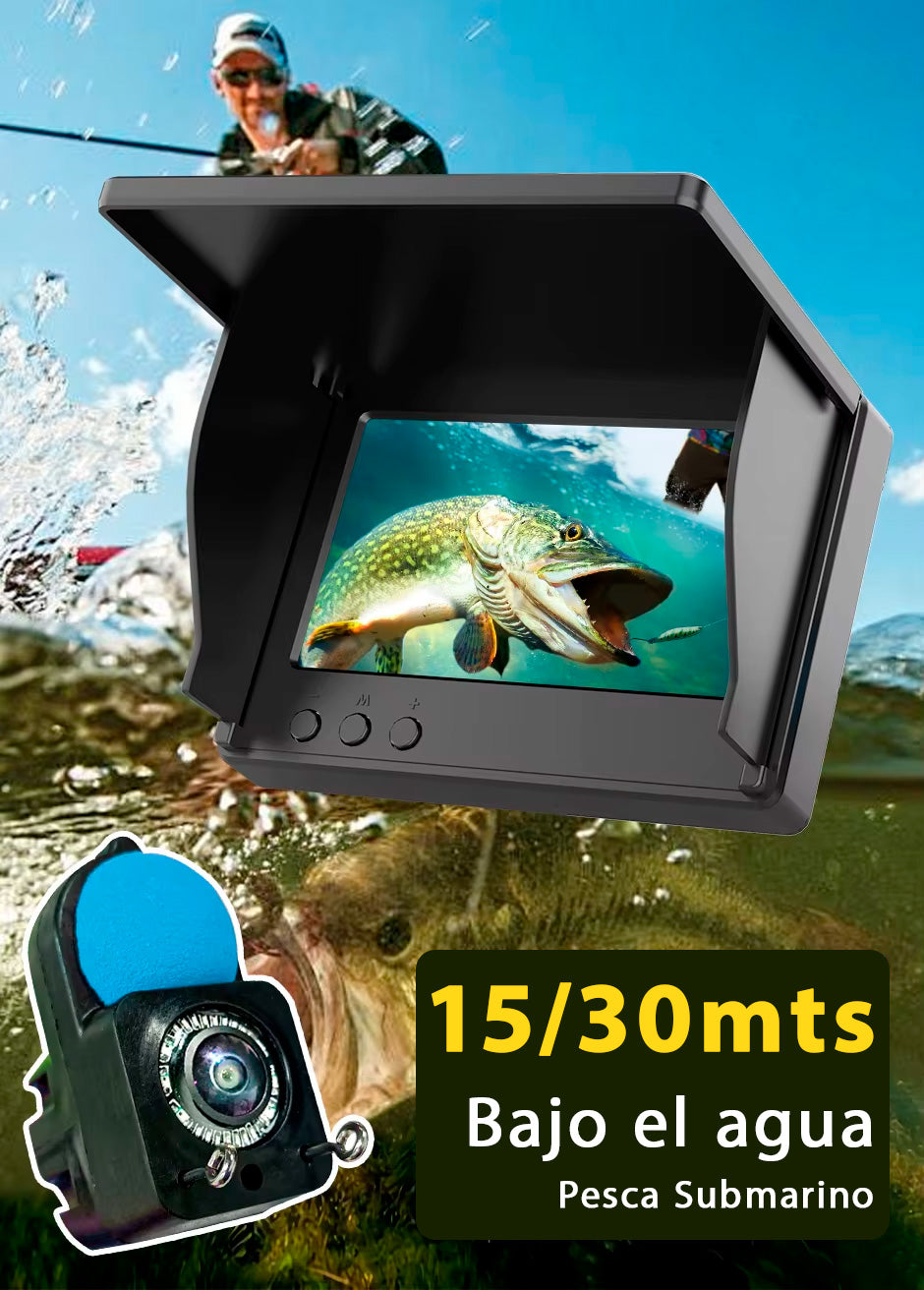 Cámara Submarina – Observa en tiempo Real