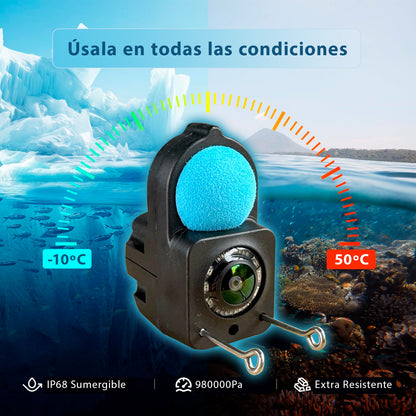 Cámara Submarina – Observa en tiempo Real