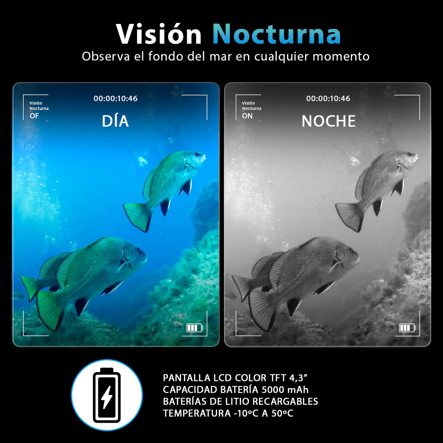 Cámara Submarina – Observa en tiempo Real